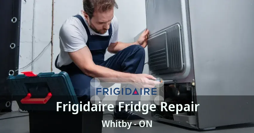 Frigidaire Fridge Repair Whitby - ON