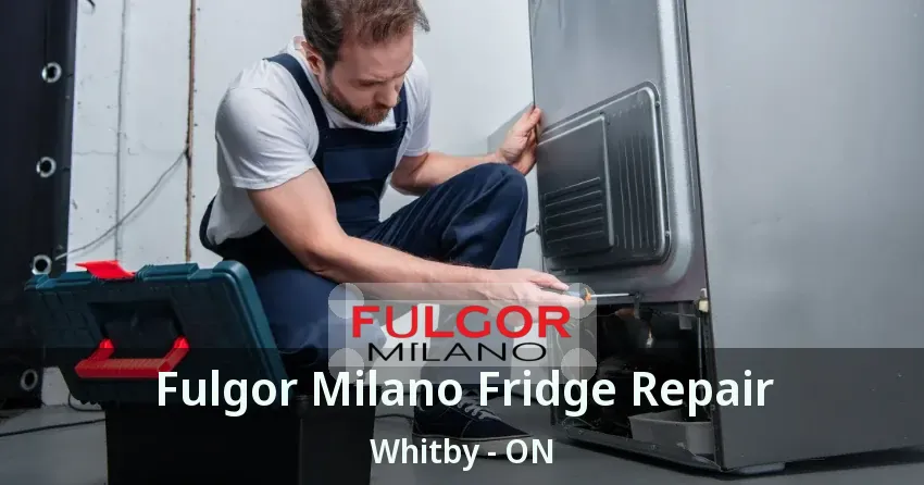 Fulgor Milano Fridge Repair Whitby - ON
