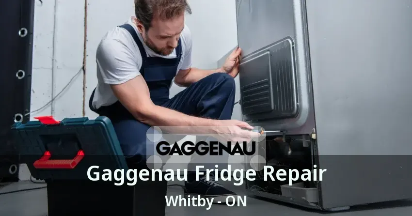 Gaggenau Fridge Repair Whitby - ON