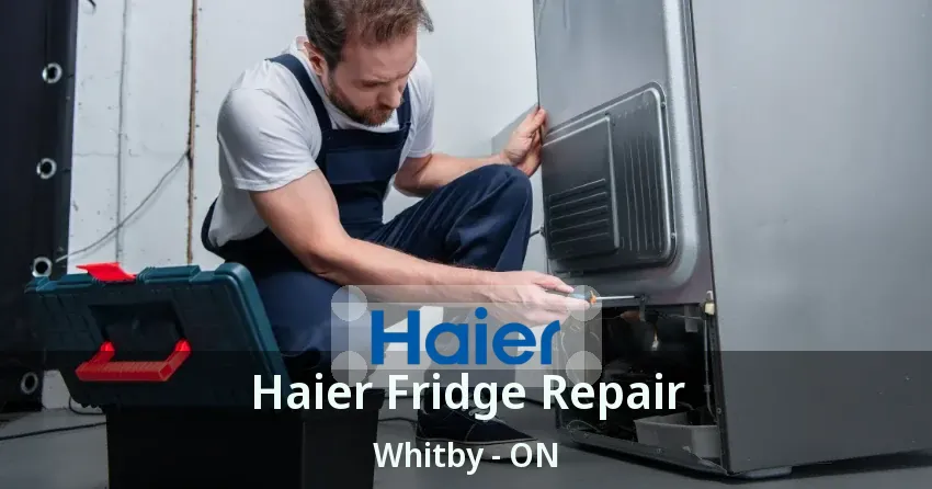 Haier Fridge Repair Whitby - ON