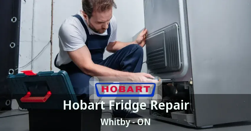 Hobart Fridge Repair Whitby - ON