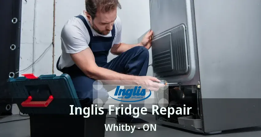 Inglis Fridge Repair Whitby - ON