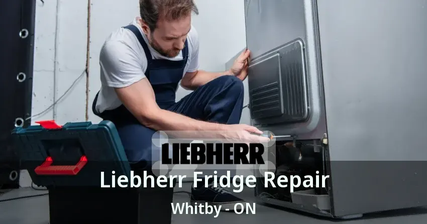 Liebherr Fridge Repair Whitby - ON