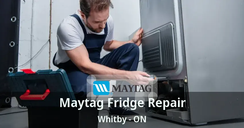 Maytag Fridge Repair Whitby - ON