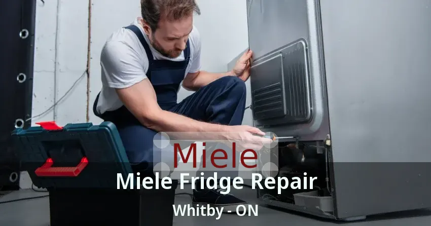 Miele Fridge Repair Whitby - ON