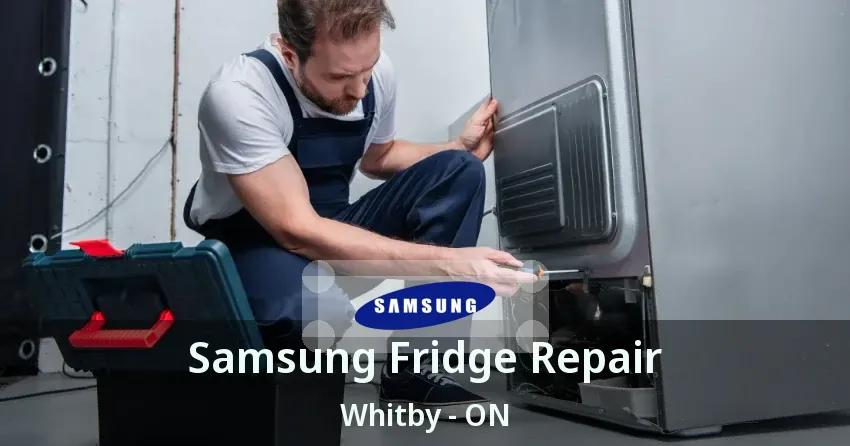 Samsung Fridge Repair Whitby - ON