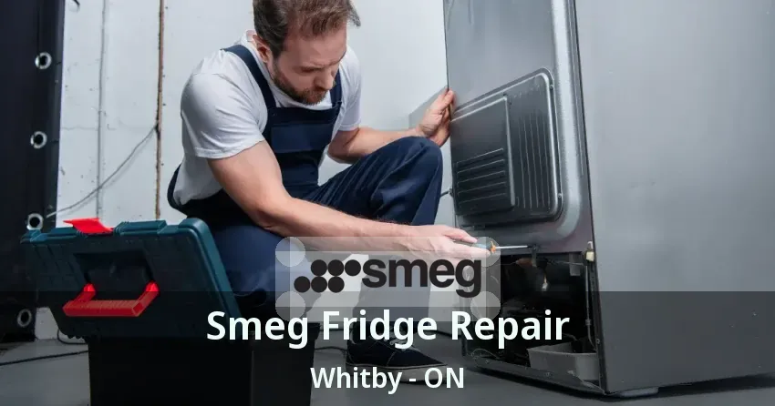 Smeg Fridge Repair Whitby - ON