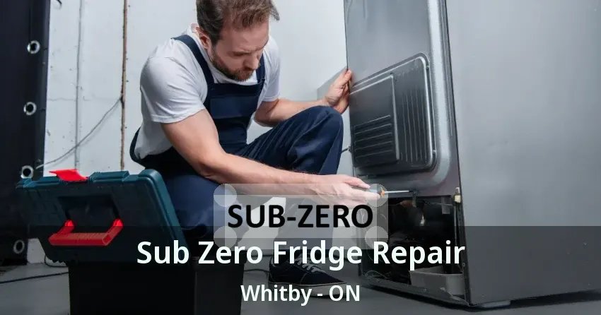 Sub Zero Fridge Repair Whitby - ON