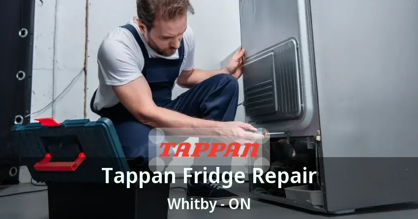 Tappan Fridge Repair Whitby - ON