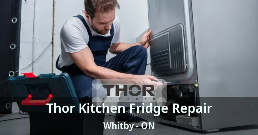Thor Kitchen Fridge Repair Whitby - ON