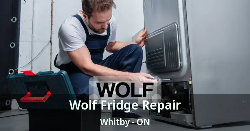 Wolf Fridge Repair Whitby - ON