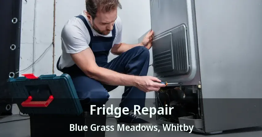 Fridge Repair Blue Grass Meadows, Whitby - ON