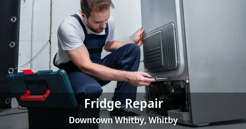 Fridge Repair Downtown Whitby, Whitby - ON