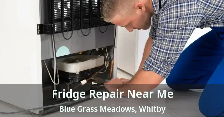 Fridge Repair Near Me Blue Grass Meadows, Whitby - ON