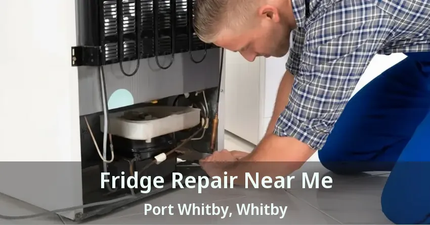 Fridge Repair Near Me Port Whitby, Whitby - ON