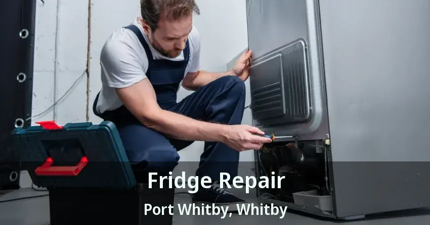 Fridge Repair Port Whitby, Whitby - ON