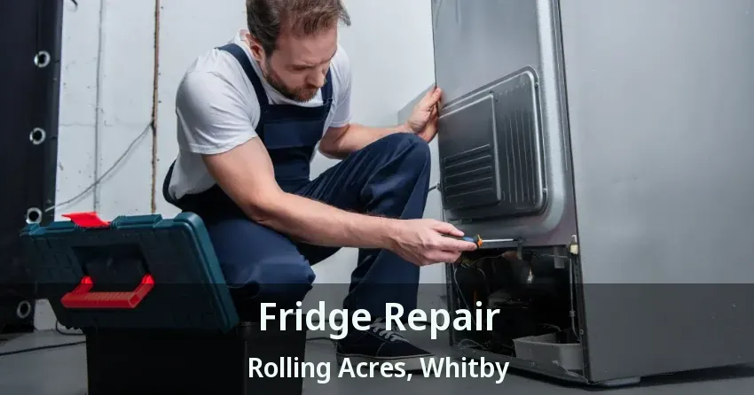 Fridge Repair Rolling Acres, Whitby - ON