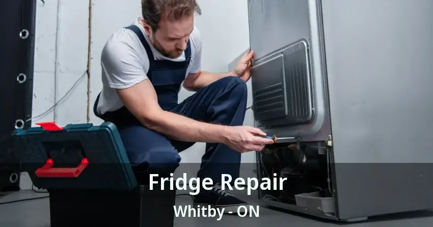 Fridge Repair Whitby - ON