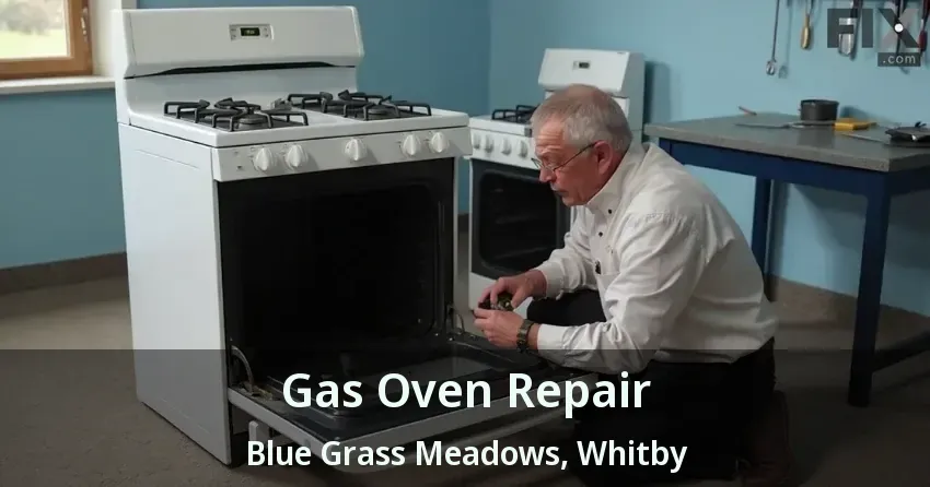 Gas Oven Repair Blue Grass Meadows, Whitby - ON