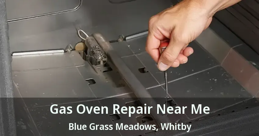 Gas Oven Repair Near Me Blue Grass Meadows, Whitby - ON