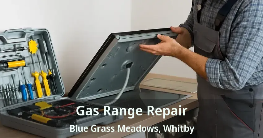 Gas Range Repair Blue Grass Meadows, Whitby - ON