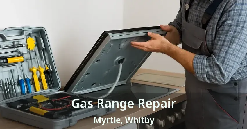 Gas Range Repair Myrtle, Whitby - ON