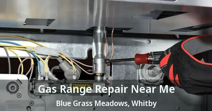 Gas Range Repair Near Me Blue Grass Meadows, Whitby - ON