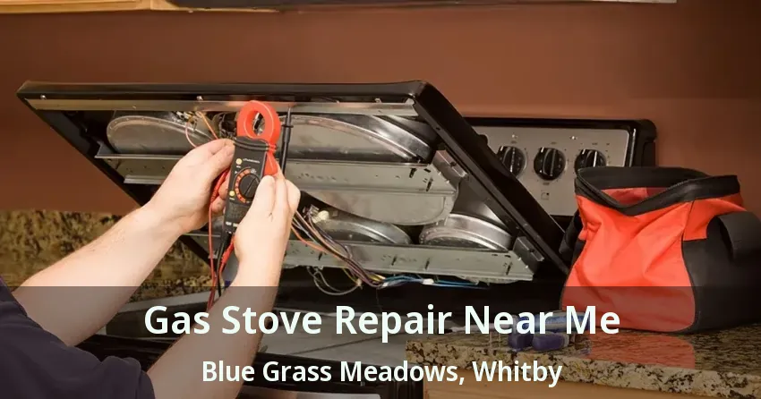 Gas Stove Repair Near Me Blue Grass Meadows, Whitby - ON