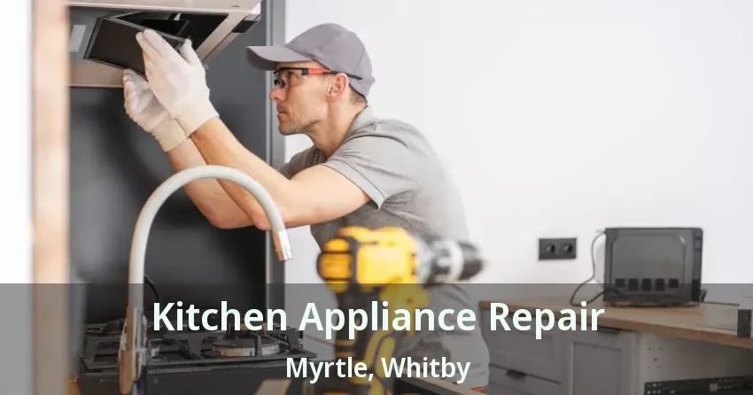 Kitchen Appliance Repair Myrtle, Whitby - ON