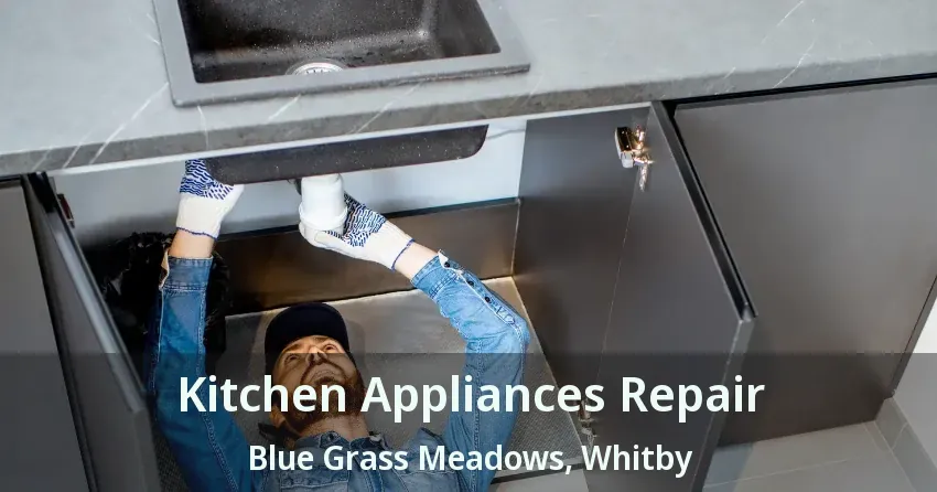 Kitchen Appliances Repair Blue Grass Meadows, Whitby - ON