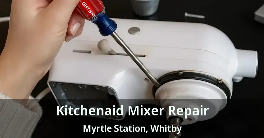 Kitchenaid Mixer Repair Myrtle Station, Whitby - ON