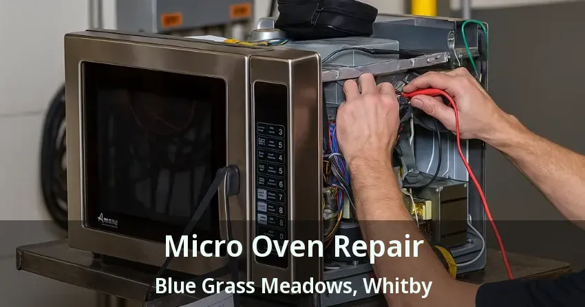 Micro Oven Repair Blue Grass Meadows, Whitby - ON