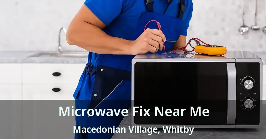 Microwave Fix Near Me Macedonian Village, Whitby - ON