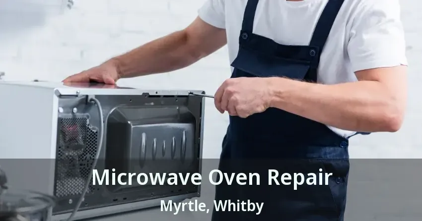 Microwave Oven Repair Myrtle, Whitby - ON