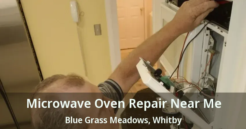 Microwave Oven Repair Near Me Blue Grass Meadows, Whitby - ON