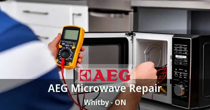 AEG Microwave Repair Whitby - ON