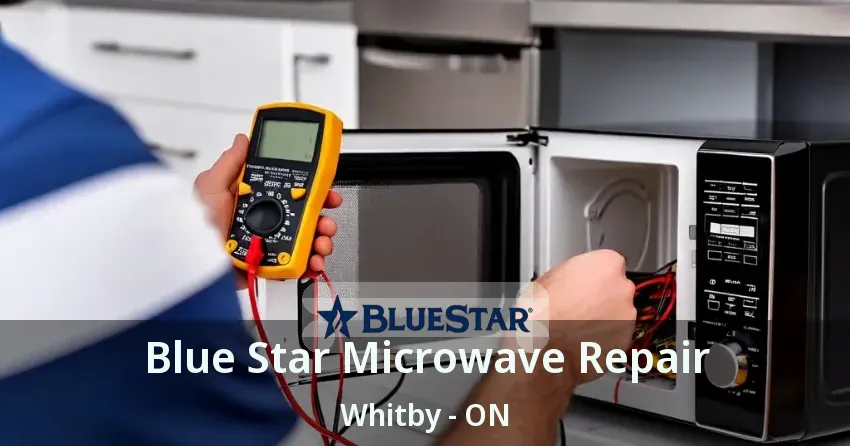 Blue Star Microwave Repair Whitby - ON