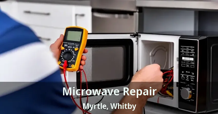 Microwave Repair Myrtle, Whitby - ON