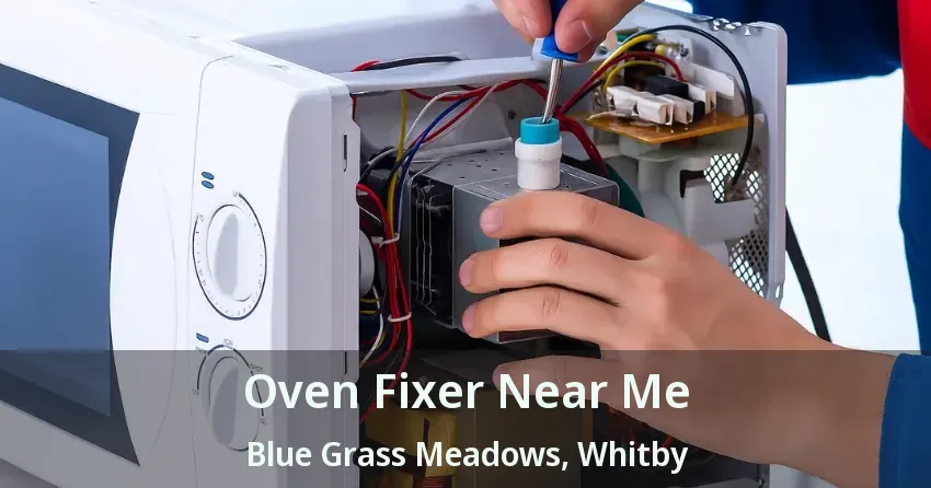 Oven Fixer Near Me Blue Grass Meadows, Whitby - ON