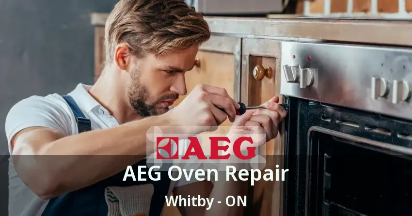 AEG Oven Repair Whitby - ON