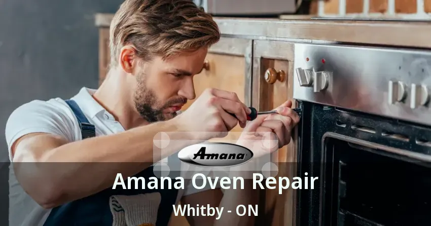 Amana Oven Repair Whitby - ON