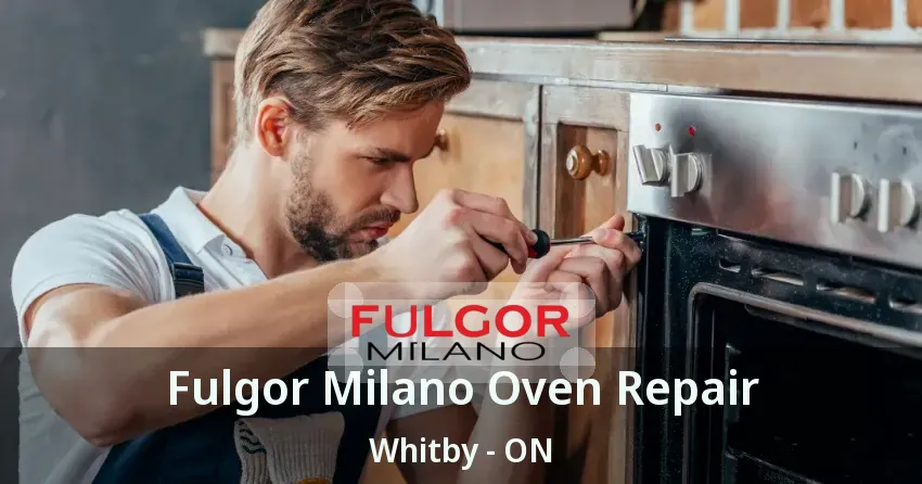 Fulgor Milano Oven Repair Whitby - ON
