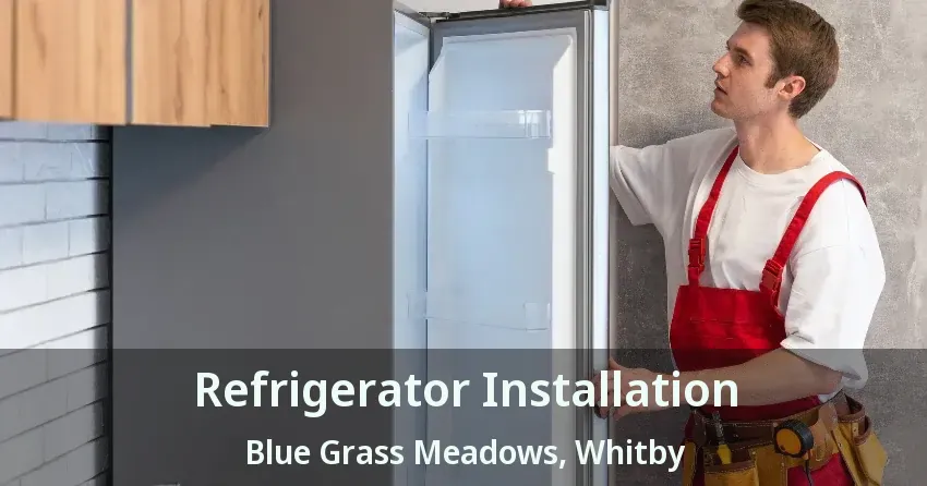 Refrigerator Installation Blue Grass Meadows, Whitby - ON