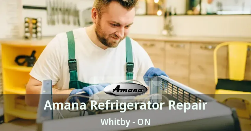 Amana Refrigerator Repair Whitby - ON