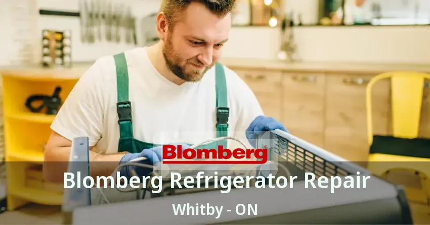 Blomberg Refrigerator Repair Whitby - ON