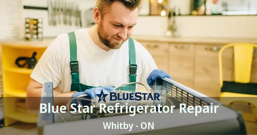 Blue Star Refrigerator Repair Whitby - ON