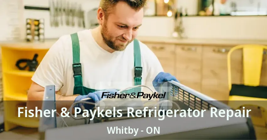Fisher & Paykels Refrigerator Repair Whitby - ON