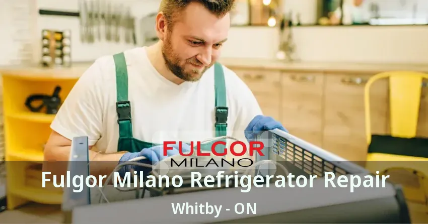 Fulgor Milano Refrigerator Repair Whitby - ON