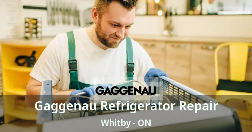 Gaggenau Refrigerator Repair Whitby - ON
