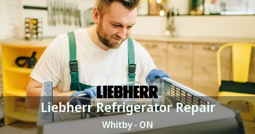 Liebherr Refrigerator Repair Whitby - ON